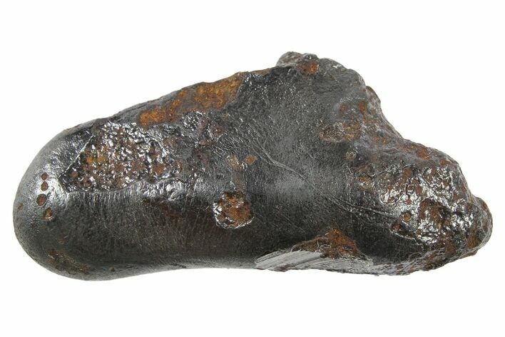 Sikhote-Alin Iron Meteorite ( g) - Russia #266705